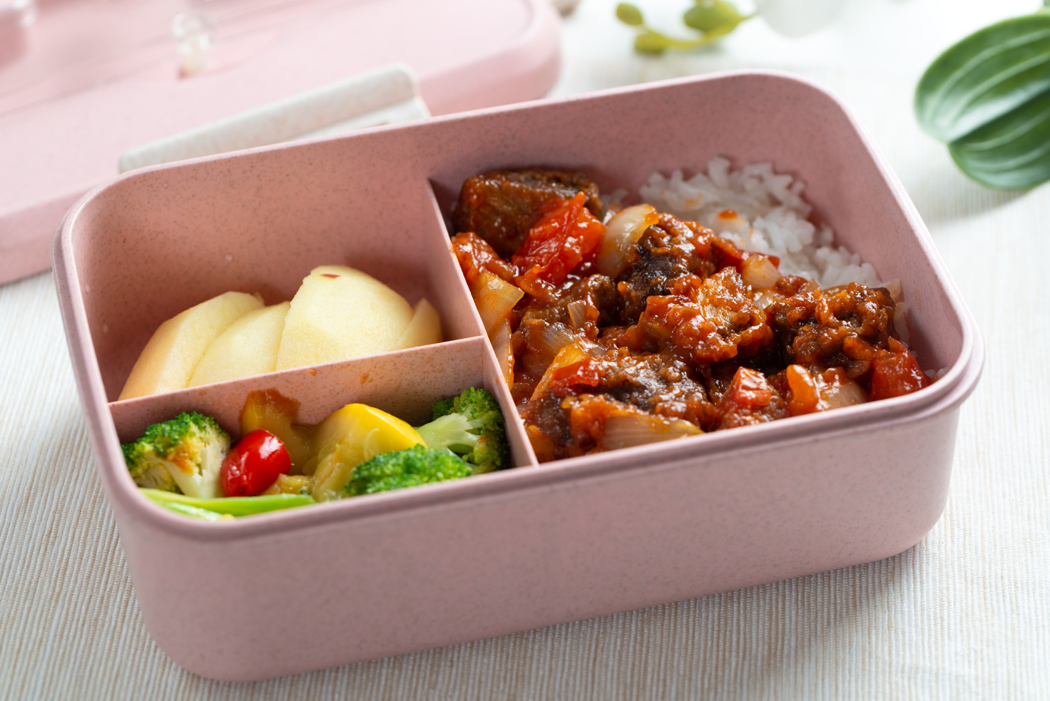 School lunch bento box set